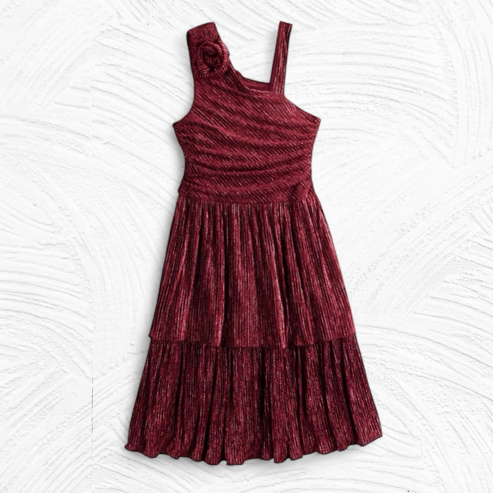 Burgundy Holiday Dress